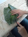 20120608134204