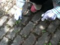 20120702111800