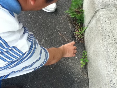 f:id:karupisupipi:20120704103632j:image