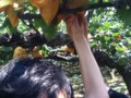 20120921125744