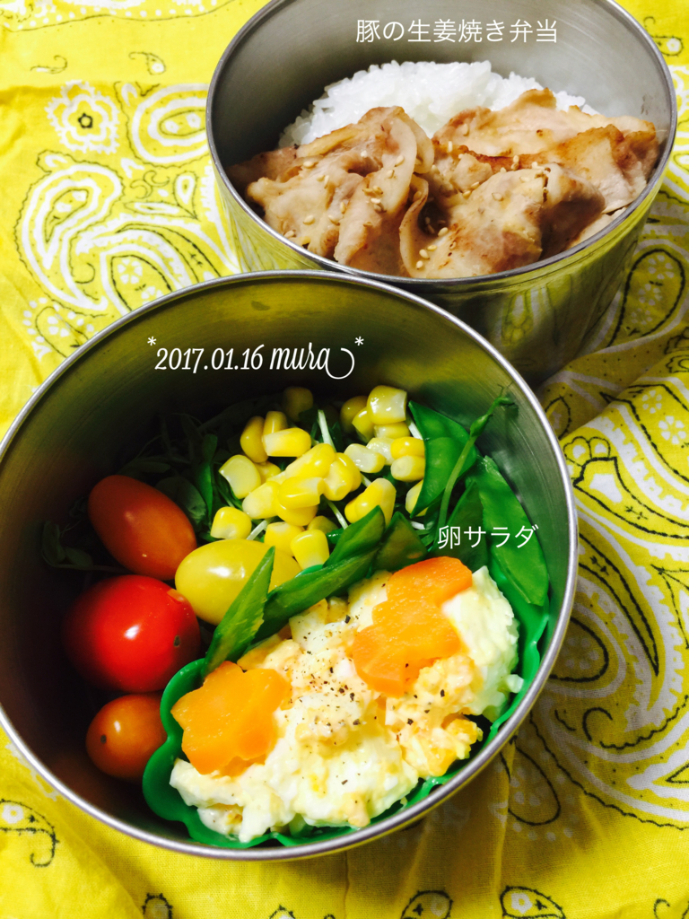 f:id:karutakko-muratan:20170116091437j:plain