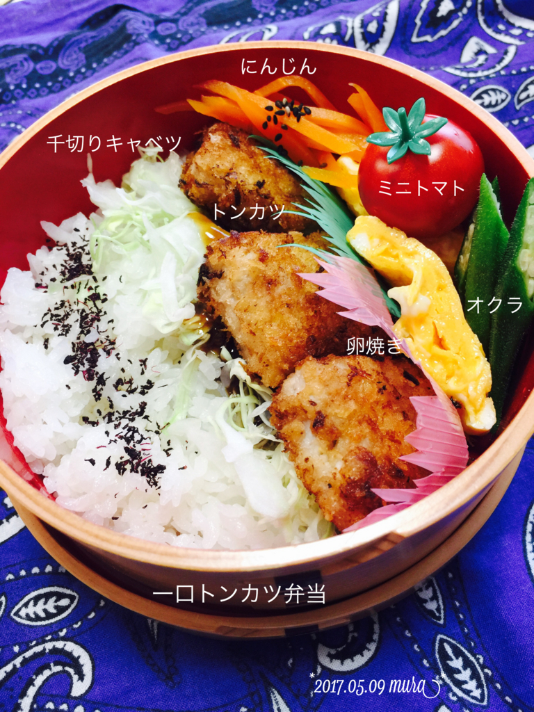 f:id:karutakko-muratan:20170509092423j:plain