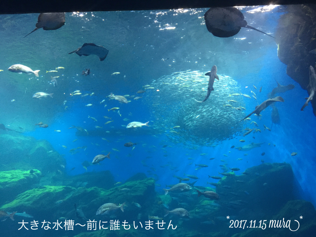 f:id:karutakko-muratan:20171121111313j:plain