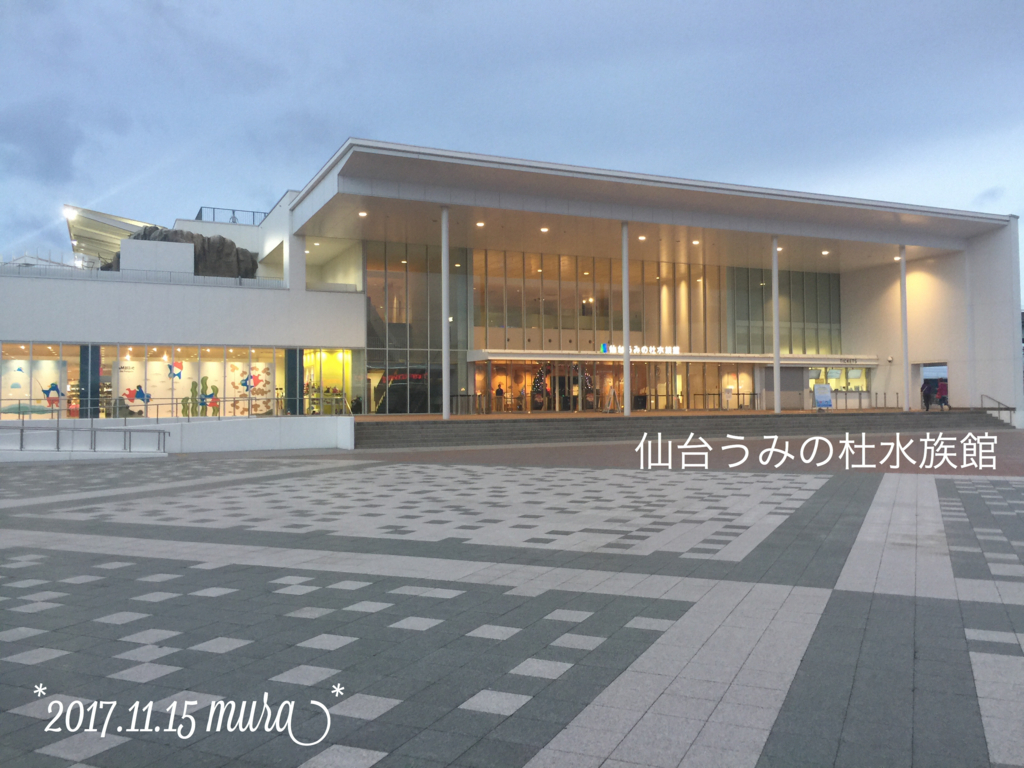 f:id:karutakko-muratan:20171121111358j:plain