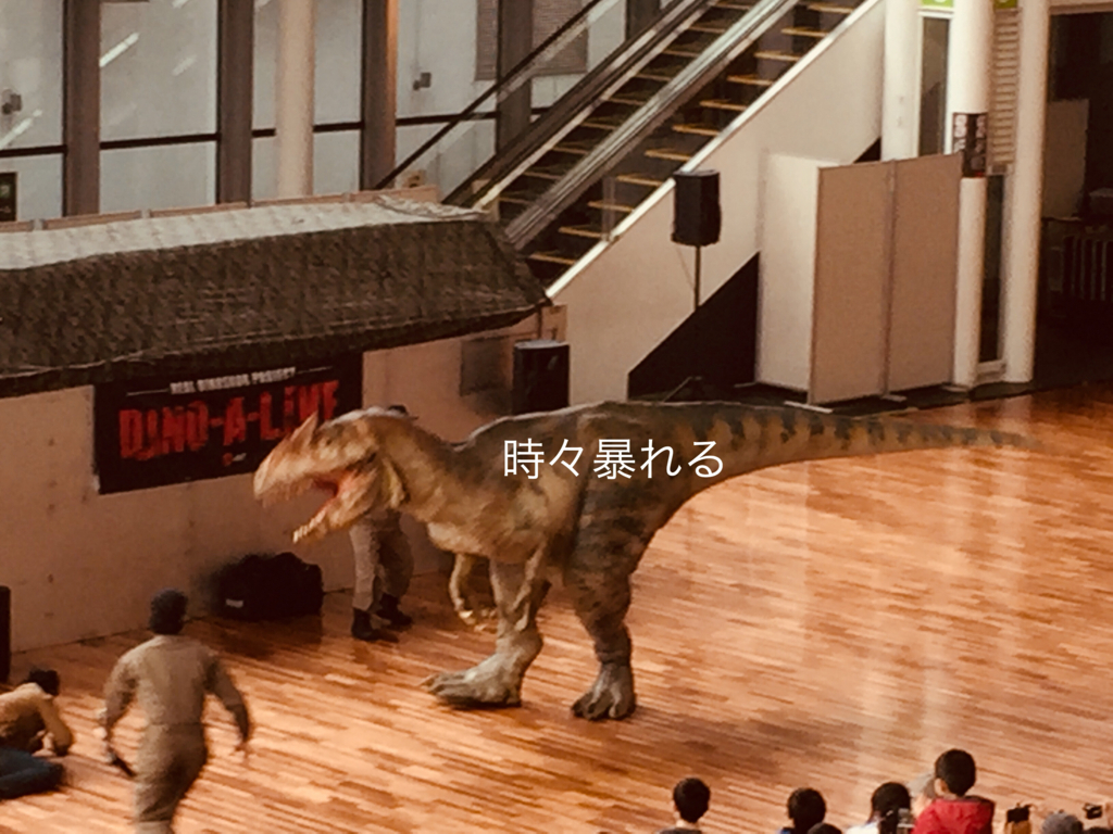 f:id:karutakko-muratan:20180304105320j:plain