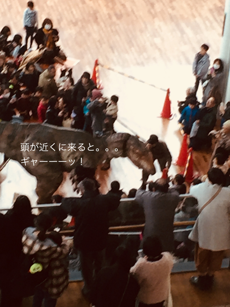 f:id:karutakko-muratan:20180304105339j:plain