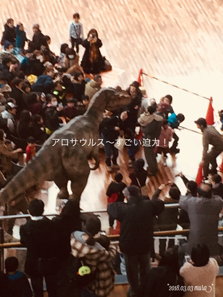 f:id:karutakko-muratan:20180304105400j:plain