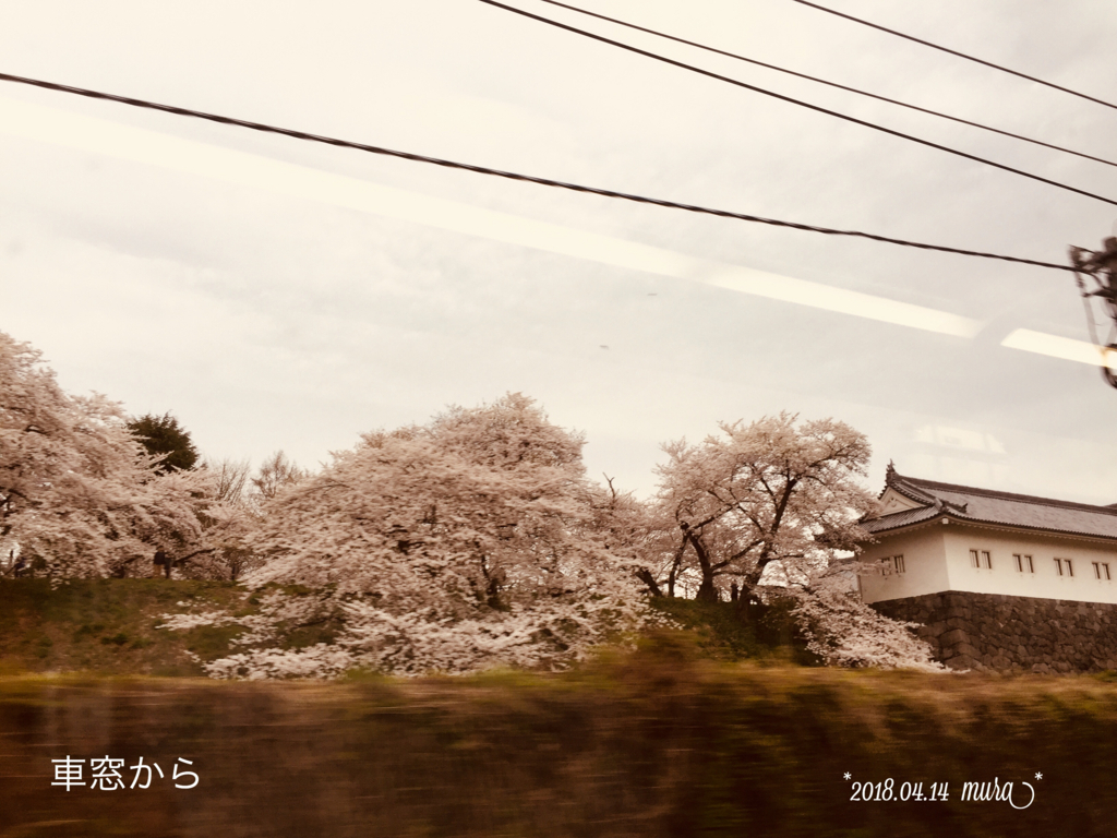 f:id:karutakko-muratan:20180415095217j:plain f:id:karutakko-muratan:20180415095217j:plain