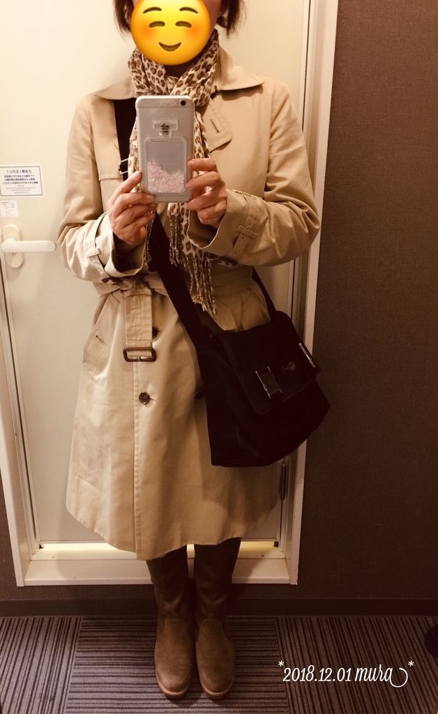 f:id:karutakko-muratan:20181201215450j:plain
