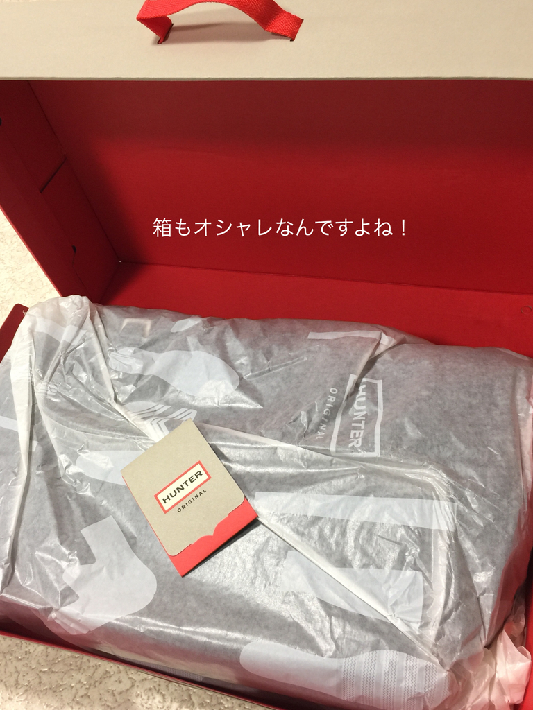 f:id:karutakko-muratan:20190213013242j:plain