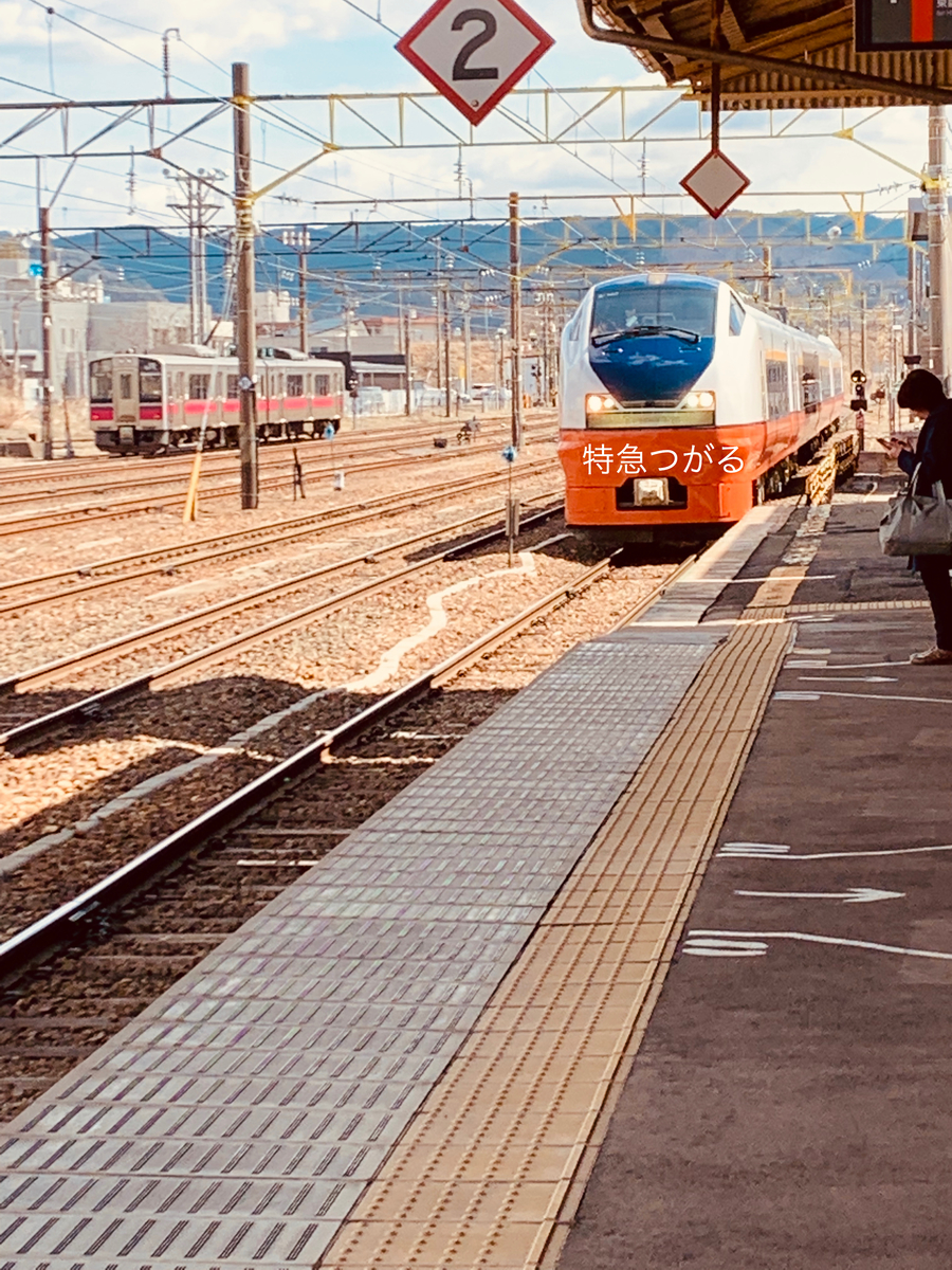 f:id:karutakko-muratan:20190412111645j:plain