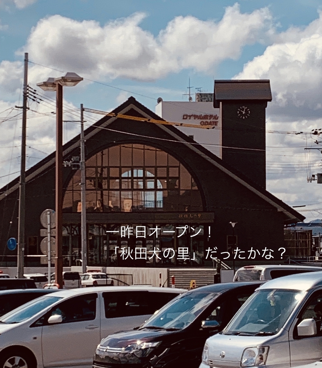 f:id:karutakko-muratan:20190412112530j:plain