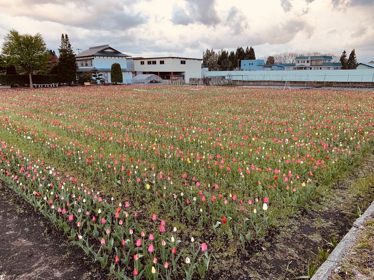 f:id:karutakko-muratan:20190508114919j:plain