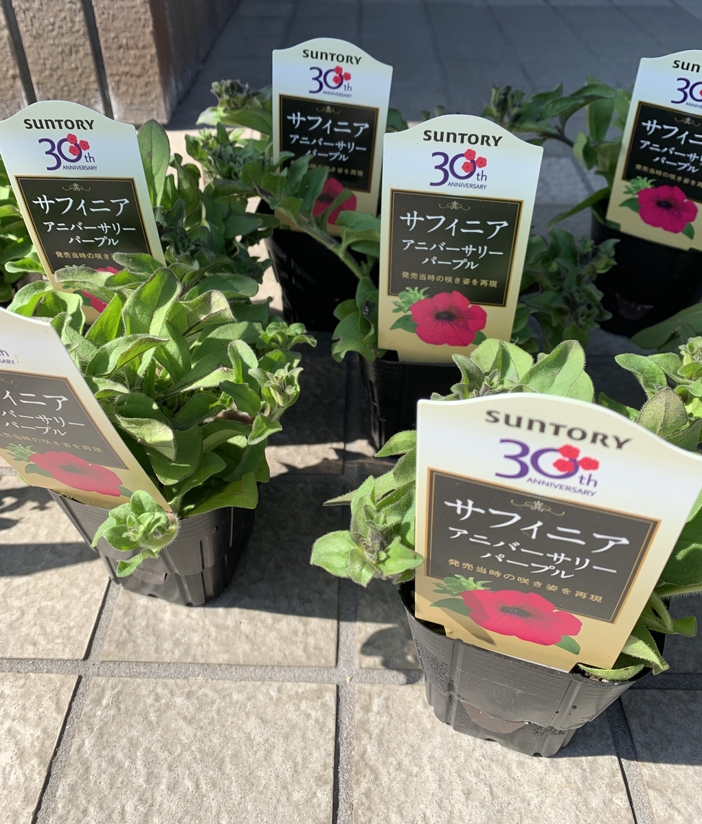 f:id:karutakko-muratan:20190514095413j:plain