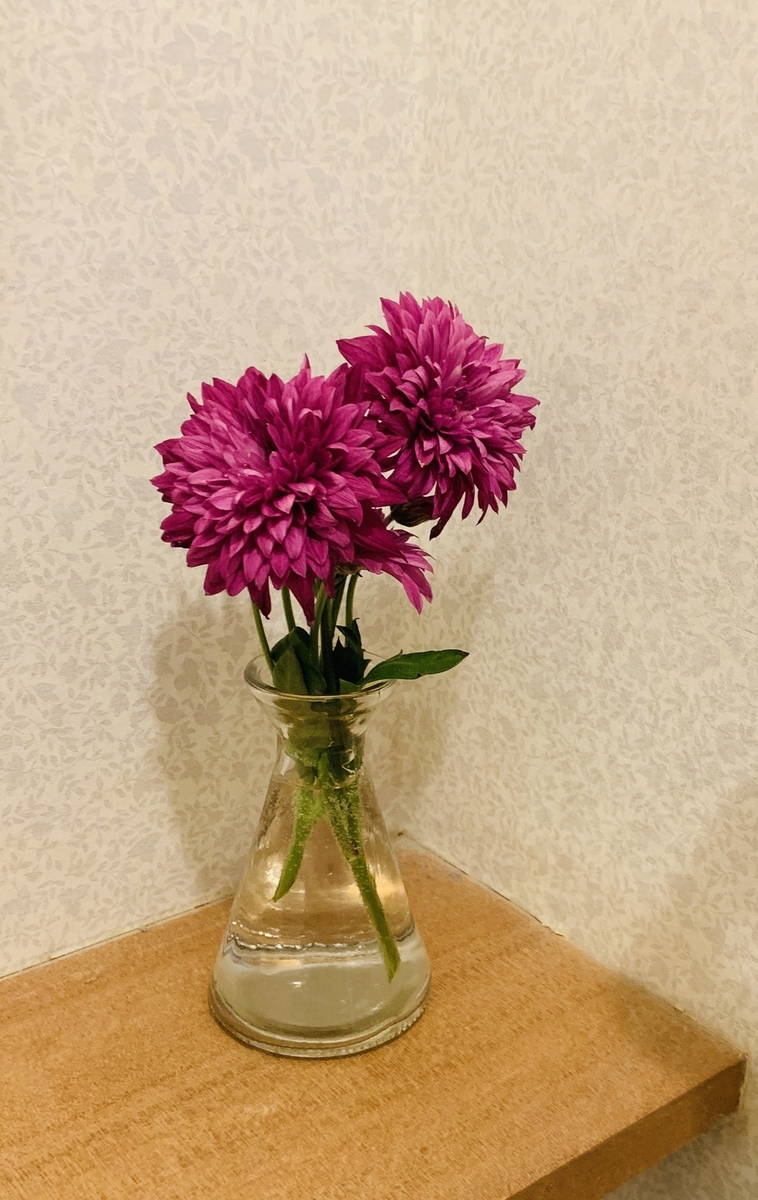 f:id:karutakko-muratan:20190515114821j:plain f:id:karutakko-muratan:20190515114821j:plain
