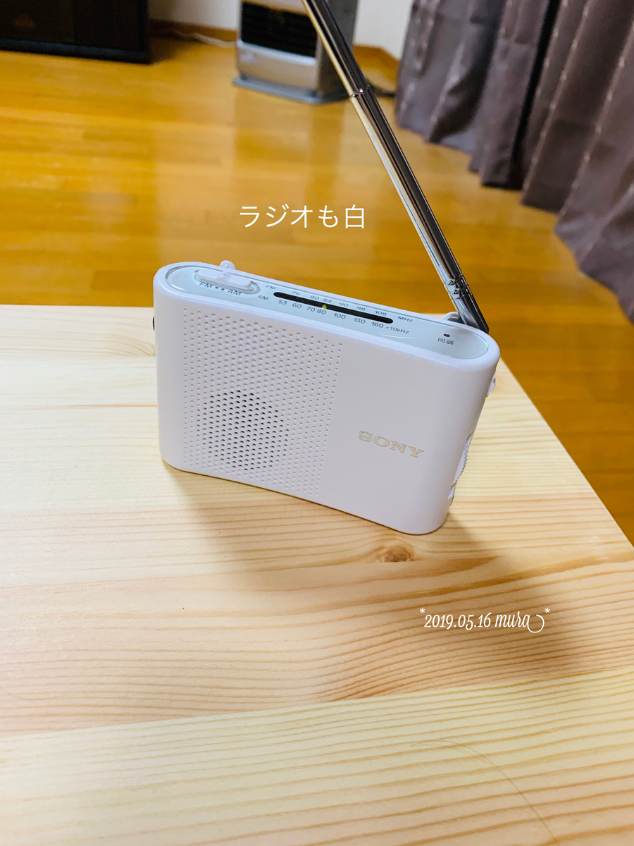 f:id:karutakko-muratan:20190517101136j:plain