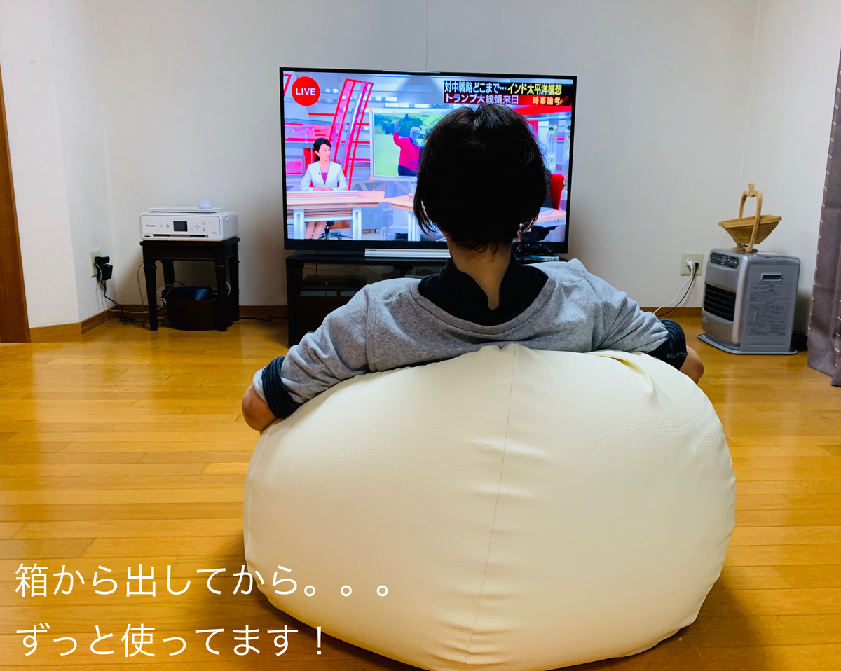f:id:karutakko-muratan:20190527104817j:plain