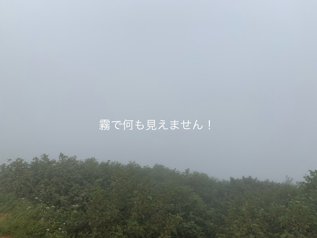 f:id:karutakko-muratan:20190812093717j:plain f:id:karutakko-muratan:20190812093717j:plain