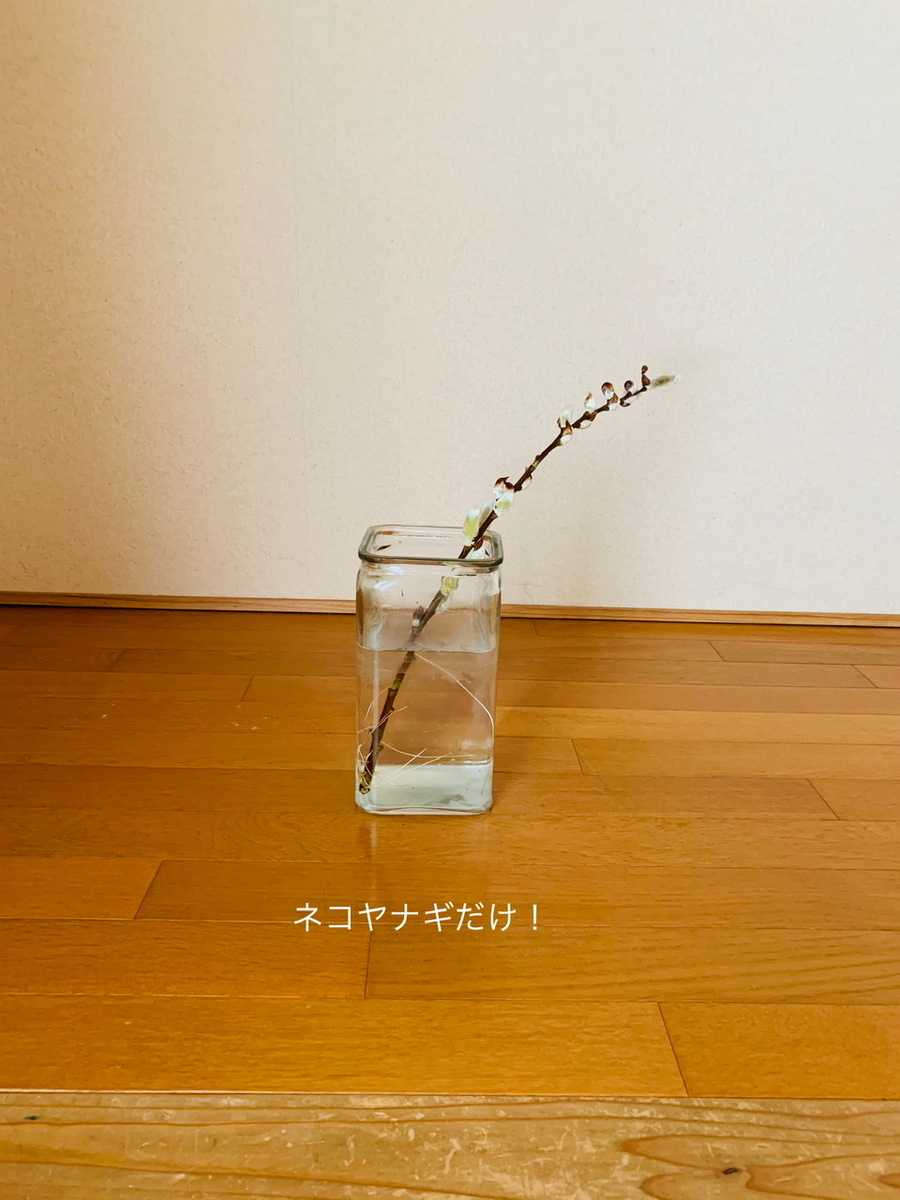 f:id:karutakko-muratan:20200320092524j:plain