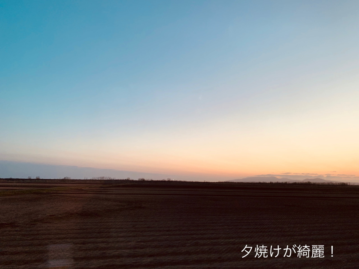 f:id:karutakko-muratan:20200416090946j:plain