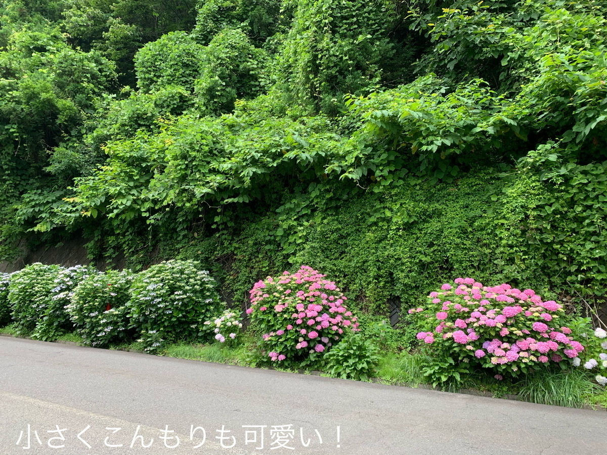 f:id:karutakko-muratan:20200706102039j:plain f:id:karutakko-muratan:20200706102039j:plain