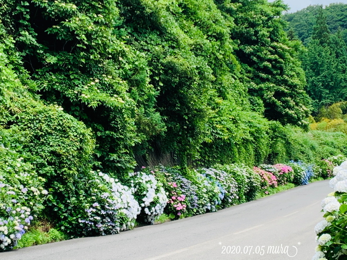 f:id:karutakko-muratan:20200706102245j:plain f:id:karutakko-muratan:20200706102245j:plain
