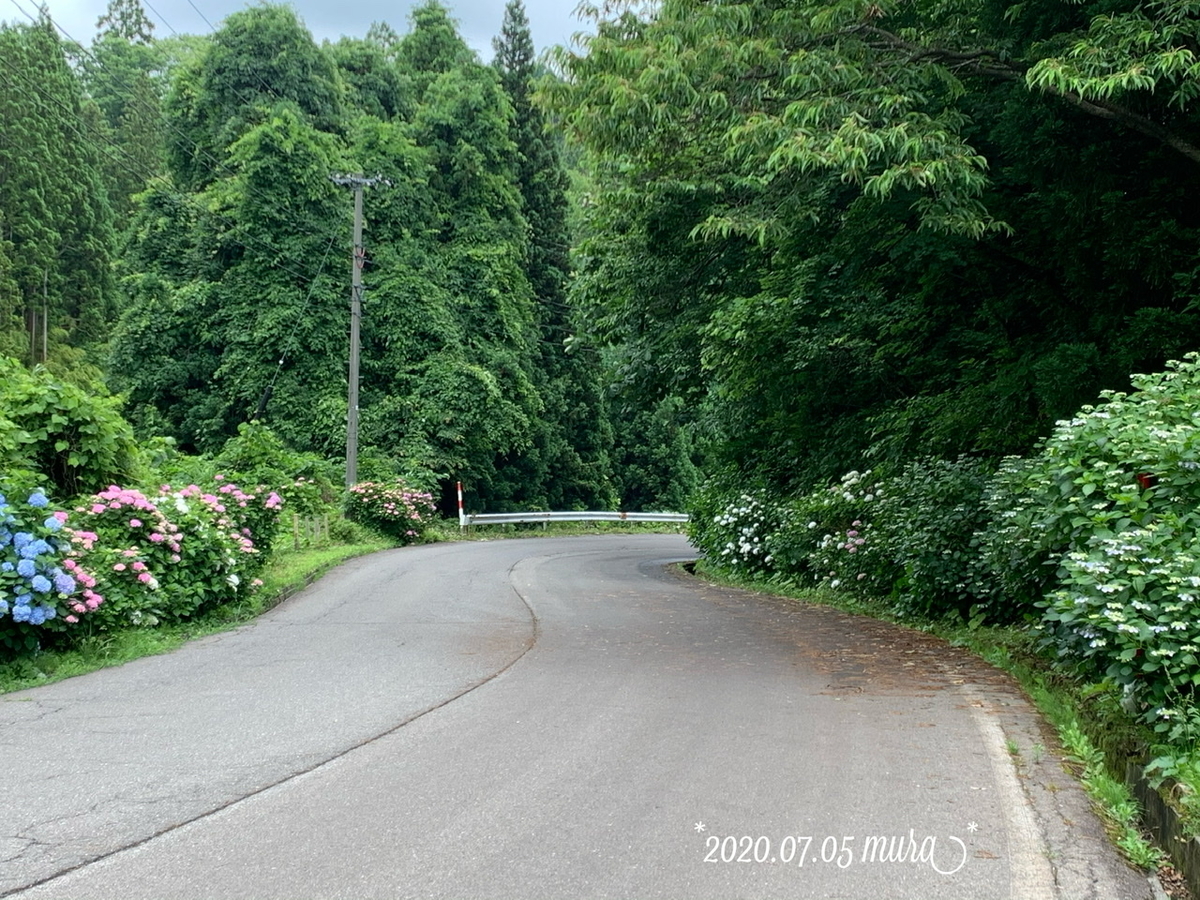 f:id:karutakko-muratan:20200706102334j:plain f:id:karutakko-muratan:20200706102334j:plain