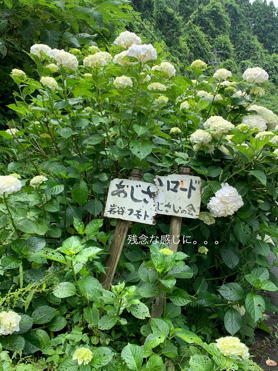 f:id:karutakko-muratan:20200706102534j:plain