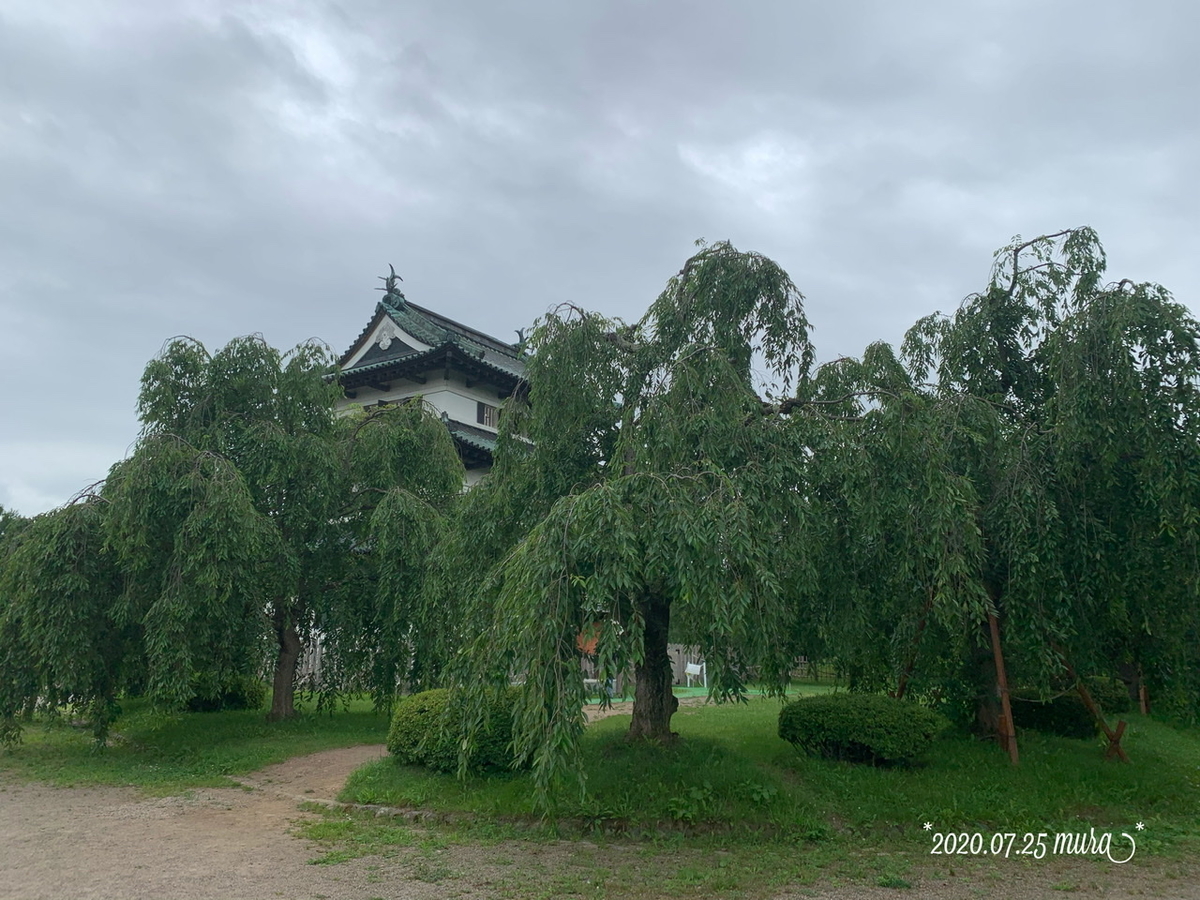 f:id:karutakko-muratan:20200726233838j:plain f:id:karutakko-muratan:20200726233838j:plain