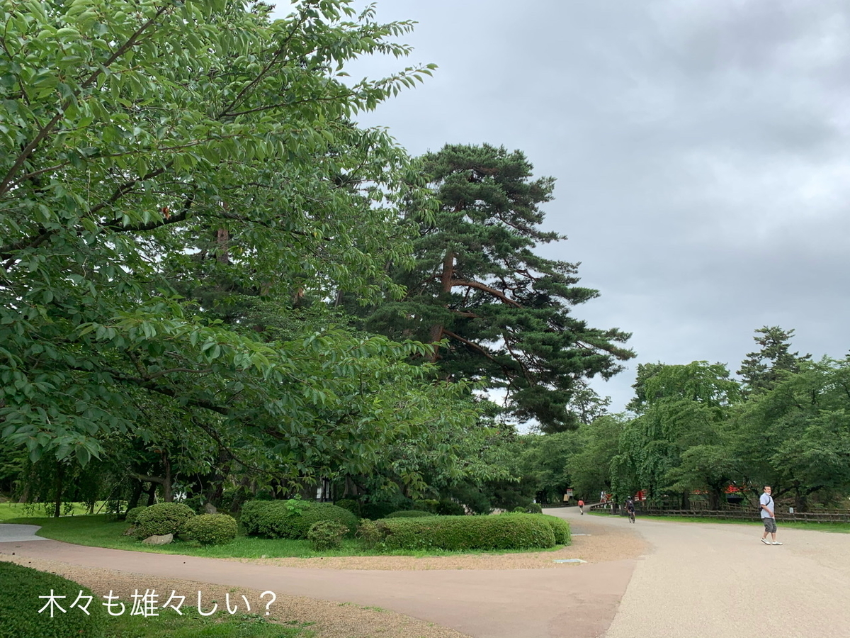 f:id:karutakko-muratan:20200726234025j:plain f:id:karutakko-muratan:20200726234025j:plain