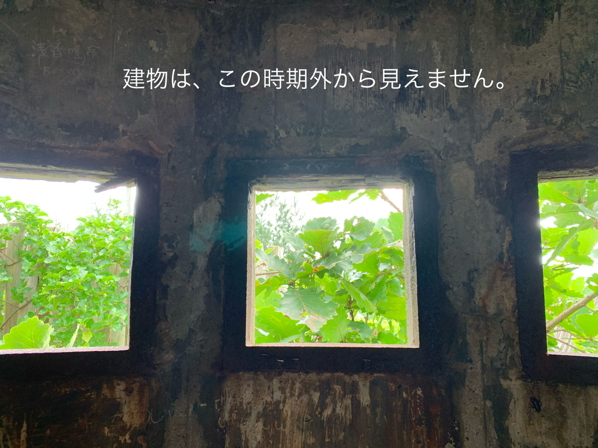 f:id:karutakko-muratan:20200811010242j:plain f:id:karutakko-muratan:20200811010242j:plain