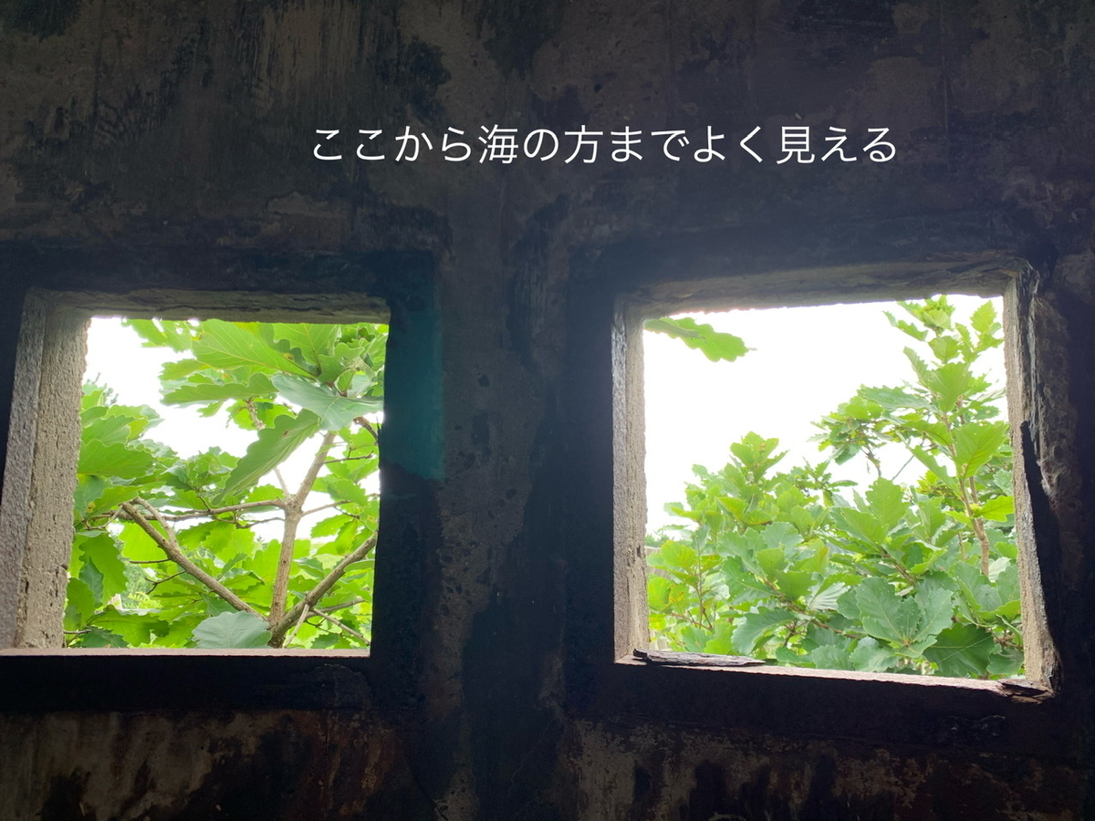 f:id:karutakko-muratan:20200811010258j:plain f:id:karutakko-muratan:20200811010258j:plain
