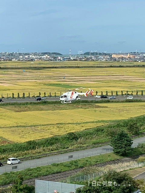 f:id:karutakko-muratan:20201018103426j:plain f:id:karutakko-muratan:20201018103426j:plain