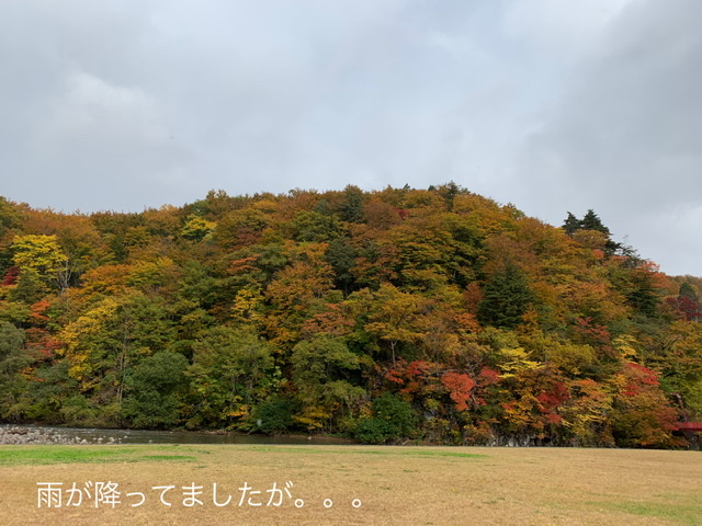f:id:karutakko-muratan:20201024234646j:plain f:id:karutakko-muratan:20201024234646j:plain