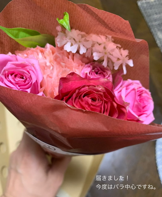 f:id:karutakko-muratan:20210123114641j:plain