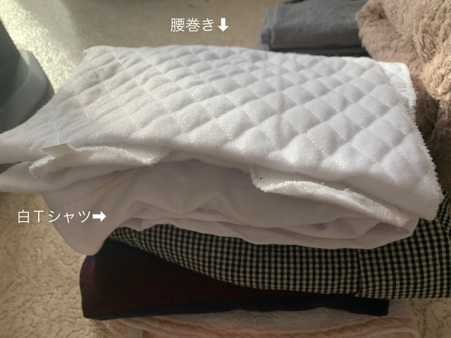 f:id:karutakko-muratan:20210125101345j:plain