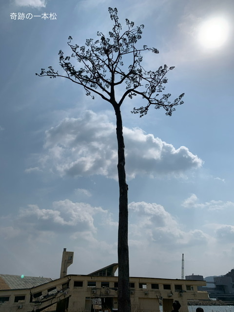 f:id:karutakko-muratan:20210327103802j:plain