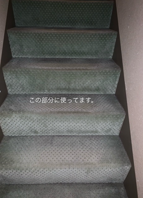 f:id:karutakko-muratan:20210609102449j:plain