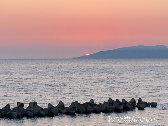 f:id:karutakko-muratan:20210628105102j:plain