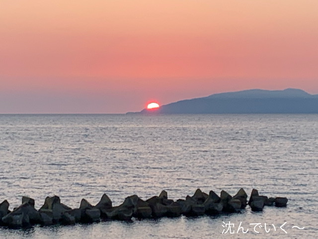 f:id:karutakko-muratan:20210628105219j:plain