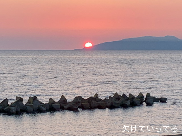 f:id:karutakko-muratan:20210628105332j:plain