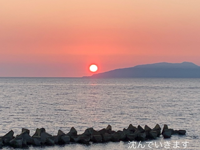 f:id:karutakko-muratan:20210628105439j:plain