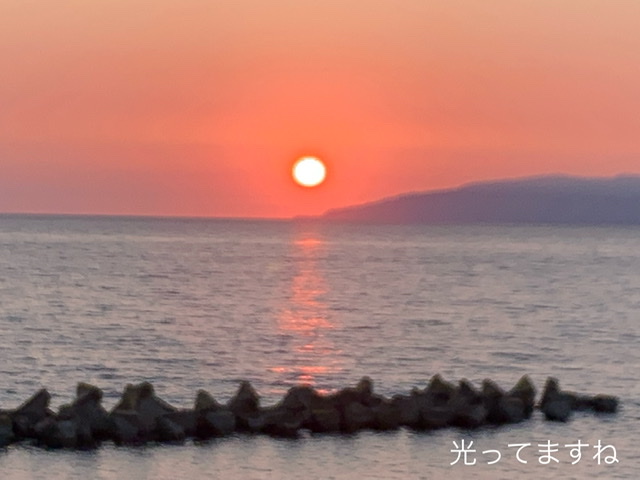 f:id:karutakko-muratan:20210628105540j:plain