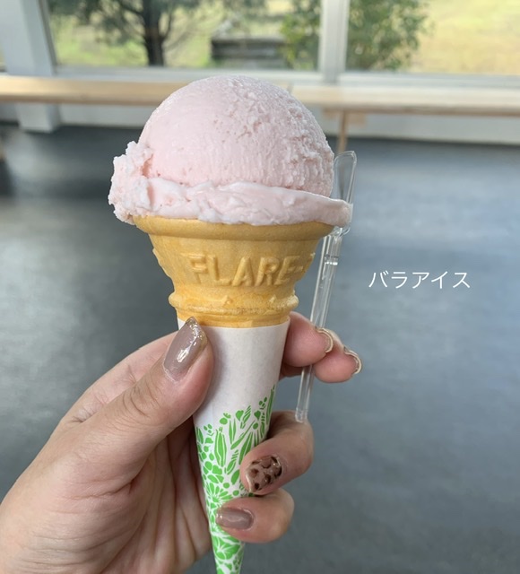 f:id:karutakko-muratan:20211003085853j:plain