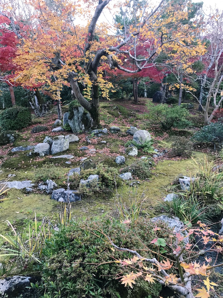 天龍寺の庭山に紅葉した木々が植えられている写真