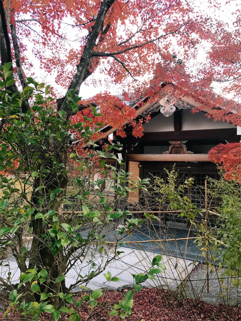 紅葉した木の奥に古い庵が見える写真