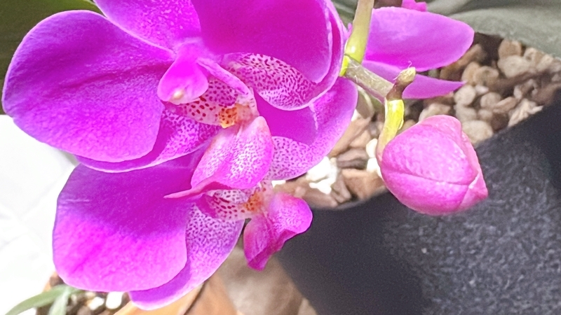 20260901152244