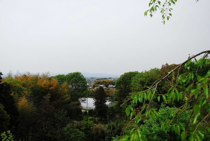 イメージ 2