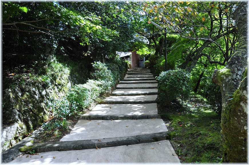 f:id:kasagatayaman:20191113223123j:plain f:id:kasagatayaman:20191113223123j:plain