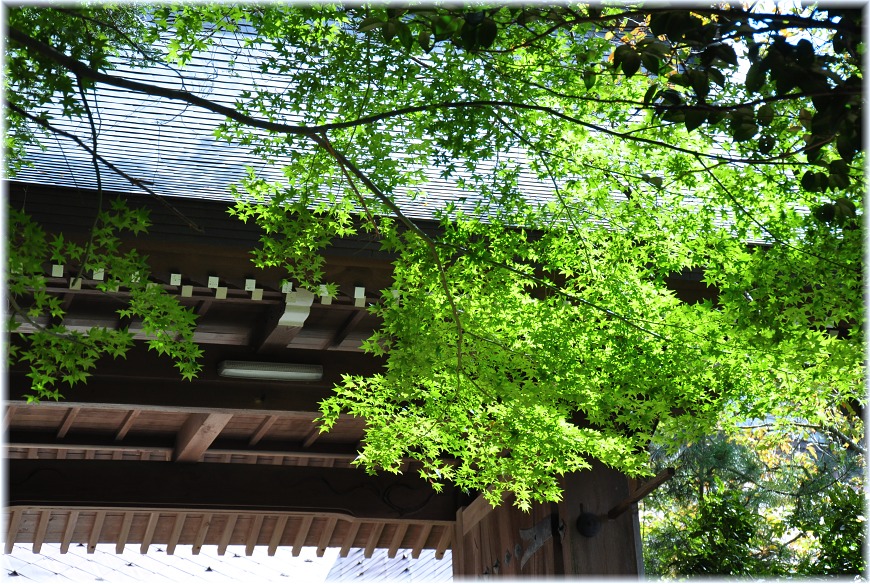 f:id:kasagatayaman:20191113223133j:plain f:id:kasagatayaman:20191113223133j:plain